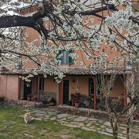 Dimora Marella Patrica - Frosinone Hotel Exterior photo