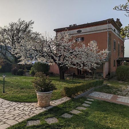 Dimora Marella Patrica - Frosinone Hotel Exterior photo